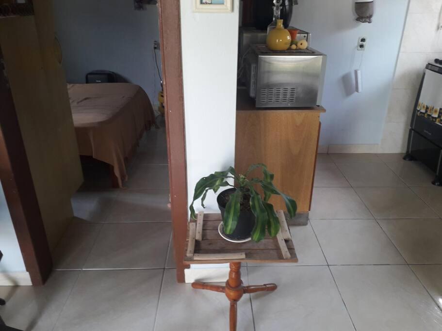 Casa Proximo A Praias, Trilhas E Cachoeiras. Гаропаба Екстер'єр фото