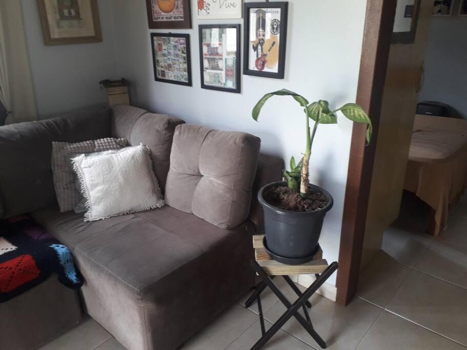 Casa Proximo A Praias, Trilhas E Cachoeiras. Гаропаба Екстер'єр фото